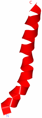 Image NMR Structure - model 1