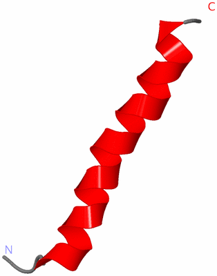 Image NMR Structure - model 1