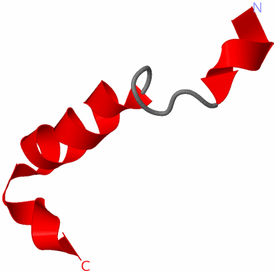 Image NMR Structure - model 1