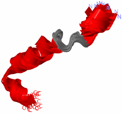 Image NMR Structure - all models