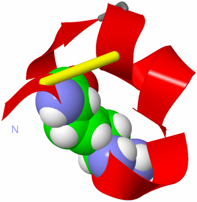 Image NMR Structure - model 1