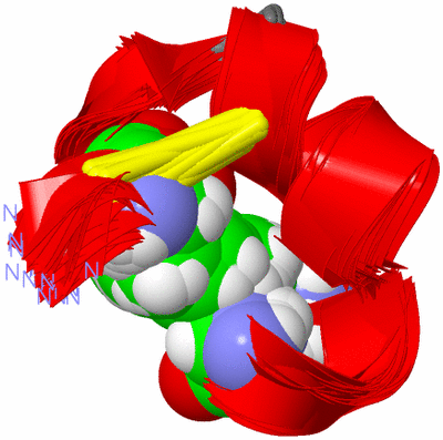 Image NMR Structure - all models