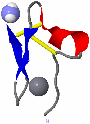 Image NMR Structure - model 1