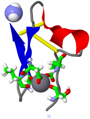 Image NMR Structure - model 1, sites