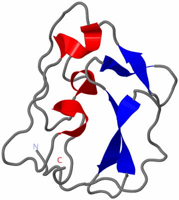 Image NMR Structure - model 1