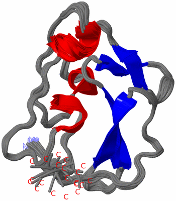 Image NMR Structure - all models