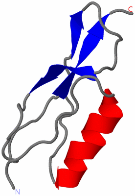Image NMR Structure - model 1