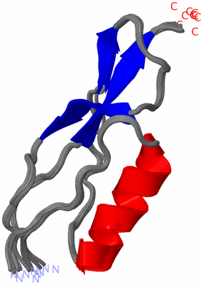 Image NMR Structure - all models