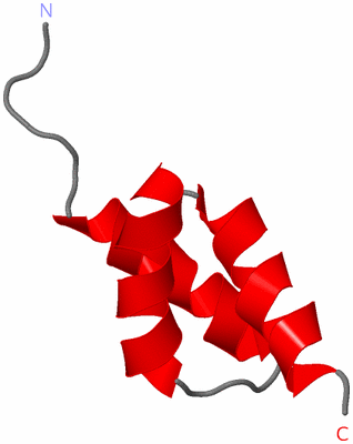 Image NMR Structure - model 1