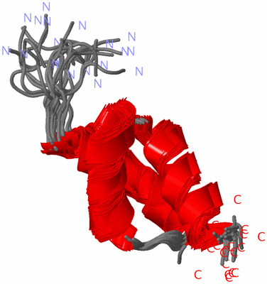 Image NMR Structure - all models