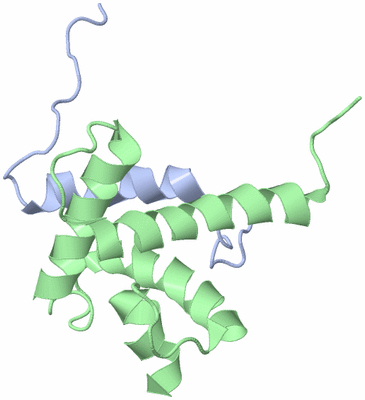 Image NMR Structure - model 1