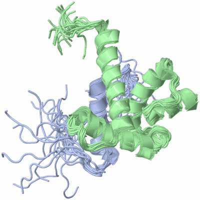 Image NMR Structure - all models