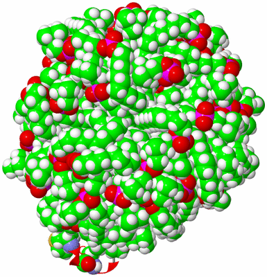 Image NMR Structure - model 1