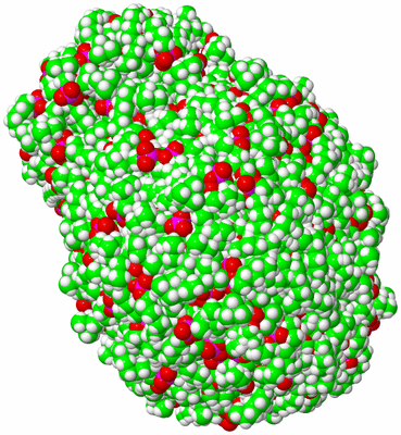 Image NMR Structure - all models