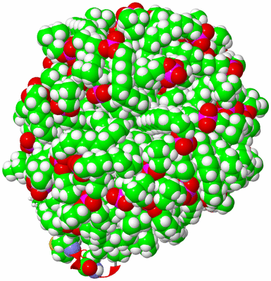 Image NMR Structure - model 1, sites