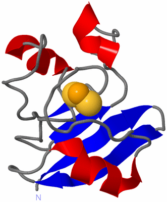 Image NMR Structure - model 1