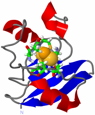 Image NMR Structure - model 1, sites