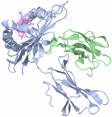 Image Biological Unit 1