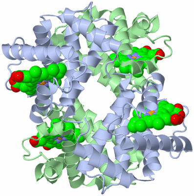 Image Biological Unit 1