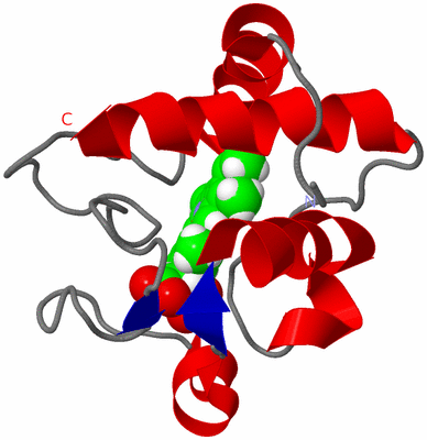 Image NMR Structure - model 1