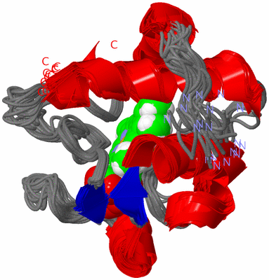 Image NMR Structure - all models