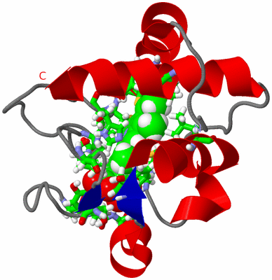 Image NMR Structure - model 1, sites