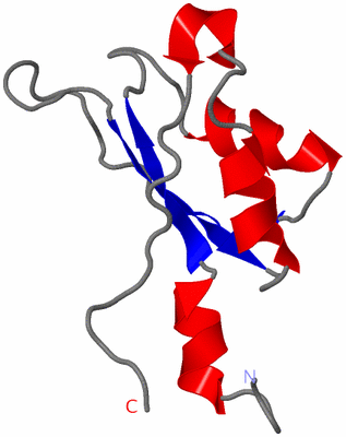 Image NMR Structure - model 1