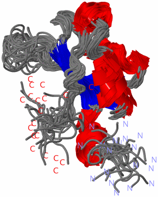 Image NMR Structure - all models