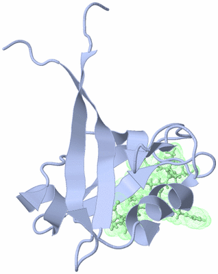 Image NMR Structure - model 1