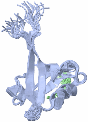 Image NMR Structure - all models