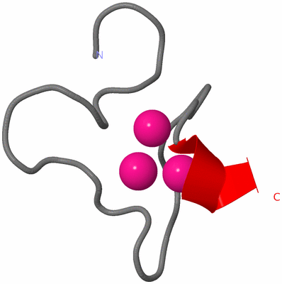 Image NMR Structure - model 1