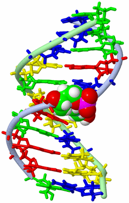 Image NMR Structure - model 1