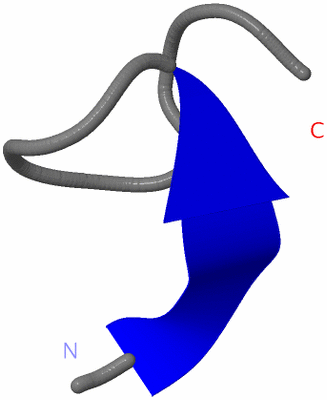 Image NMR Structure - model 1