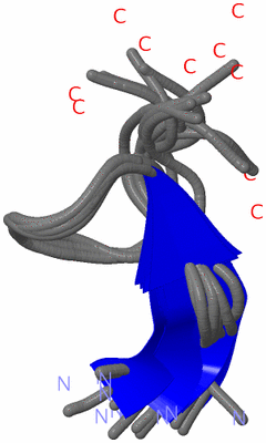 Image NMR Structure - all models