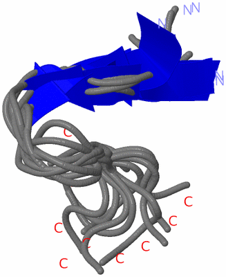 Image NMR Structure - all models