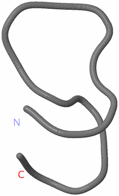 Image NMR Structure - model 1