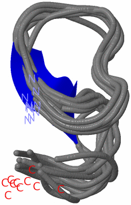 Image NMR Structure - all models