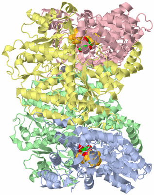 Image Asym./Biol. Unit