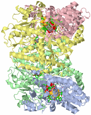 Image Asym./Biol. Unit - sites