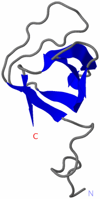 Image NMR Structure - model 1