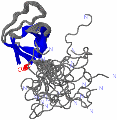 Image NMR Structure - all models