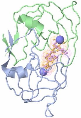 Image Biological Unit 1