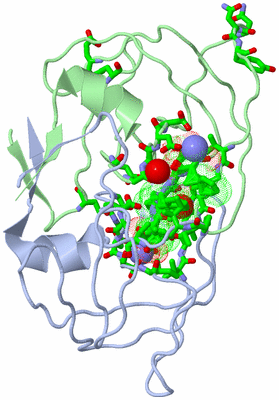 Image Biol. Unit 1 - sites