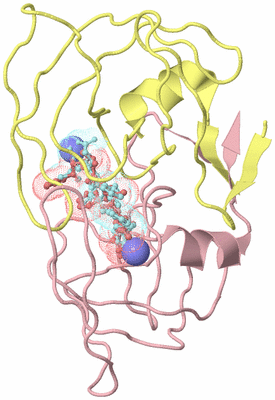 Image Biological Unit 2