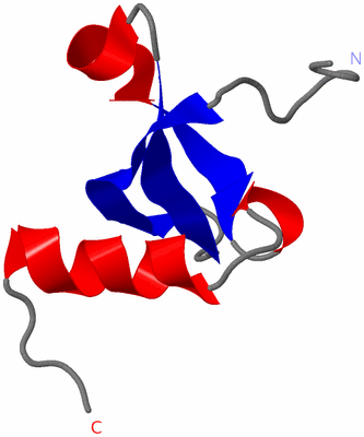 Image NMR Structure - model 1