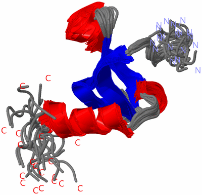 Image NMR Structure - all models