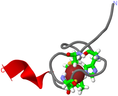 Image NMR Structure - model 1, sites