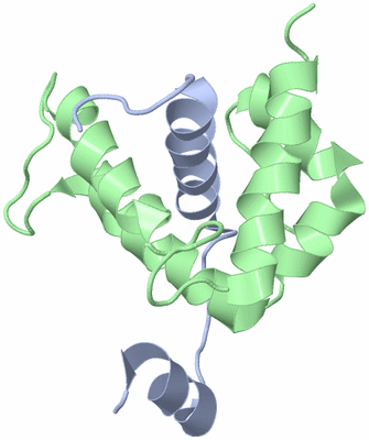 Image NMR Structure - model 1