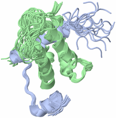 Image NMR Structure - all models