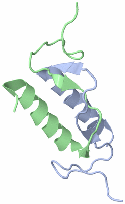 Image NMR Structure - model 1